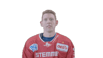 Hockey Family Sticker by Eisbären Regensburg