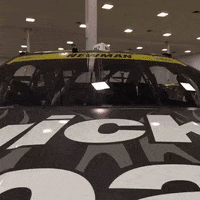 200.gif?cid=fc005b0819f4b7a05c802aaf38cfffb1f815692814345519&rid=200.gif&ct=g