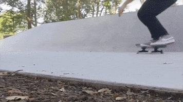 Skateboarding Wallride GIF