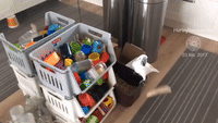 Cockatoo Witnesses Clean Kitchen Floor and Sees it as a Challenge