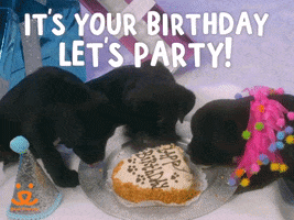 Adopt Happy Birthday GIF by Best Friends Animal Society