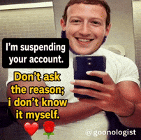 Mark Zuckerberg GIF