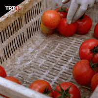 Shopping Cooking GIF by TRT