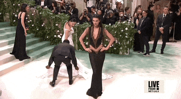 Kendall Jenner GIF by E!