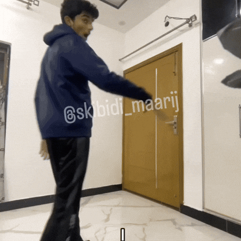 Chicken GIF