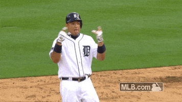 Rock On Tigers GIF by MLB