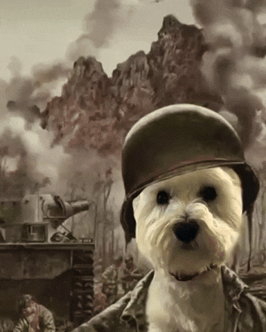 Shocked War GIF