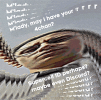 Loudahlou GIF