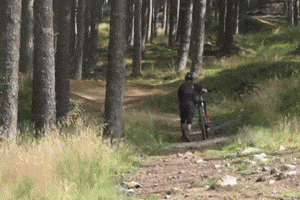 Glenlivet GIF
