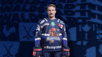 Celebration Hockey GIF by Iserlohn Roosters