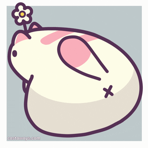 Cat Lol GIF by Castaways