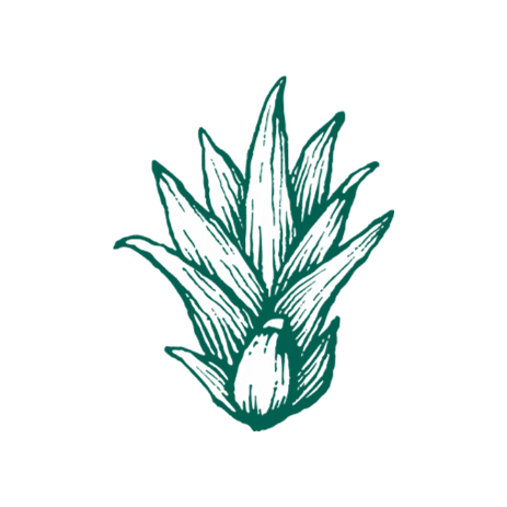 Dariquim Sticker by Dariquim: Mercadinho da Canastra