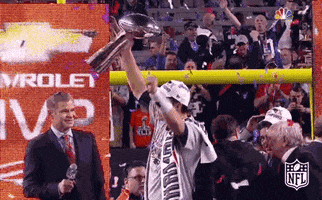 New England Patriots Win GIF by NFL