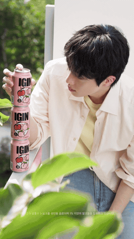 Jin GIF