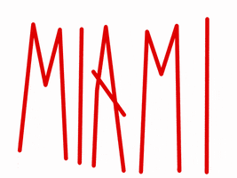 Winning Miami Heat GIF by The Art Plug