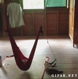 working from home relaxing GIF