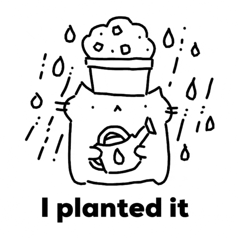 Cat Plant GIF
