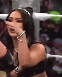 Go Away Wwe GIF