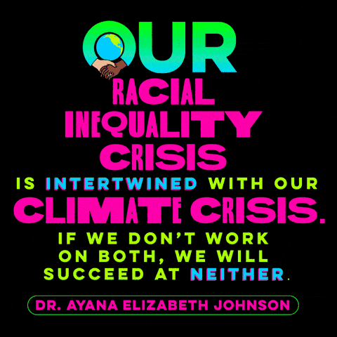 "Our racial inequality crisis is intertwining with our climate crisis. If we don't work on both, we will succeed at neither." Dr. Ayana Elizabeth Johnson quote