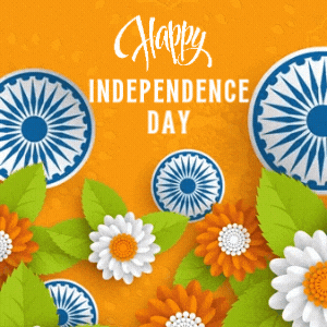 Indian Independence Day Kids Learning GIF by FirstCry Parenting