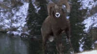 200w.gif