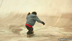 Monkey Skateboarding GIF