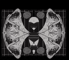 Collage GIF