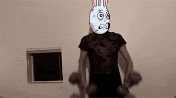 Meme GIF
