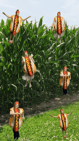 Hot Dogs & Corn