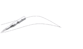 The Aesthetics Studio Cheshire Sticker