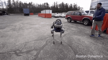 tucstwo robot overlords GIF
