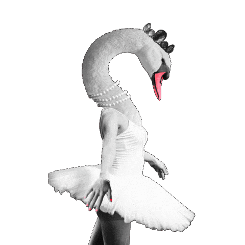 Dance Sticker by EdinburghFringeFestival