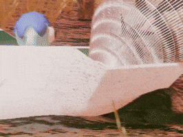 Summer Florida GIF by BB