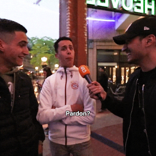 Qucee GIF