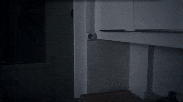 Chinese Reaction GIF by Pixhunters