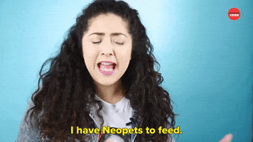 Neopets GIF by BuzzFeed