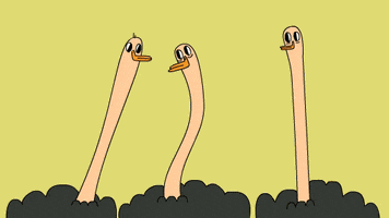 comedy central ostrich GIF by CsaK