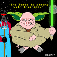 Star Wars Fox GIF by gifnews