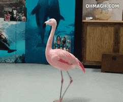 pink dancing GIF