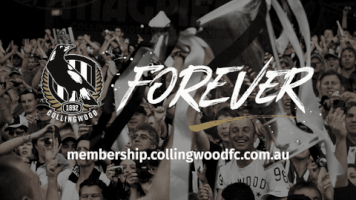 fans crowd GIF by CollingwoodFC