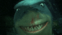 Nemo Shark GIFs - Find & Share on GIPHY