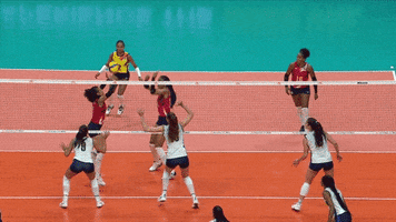 Try Again Oh No GIF by Volleyball World