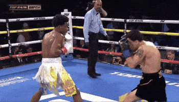 Boxing GIF