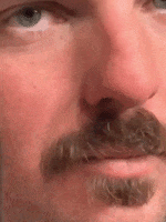 Smirk Smile GIF by HKRealty