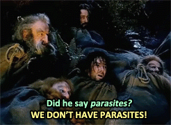 an unexpected journey