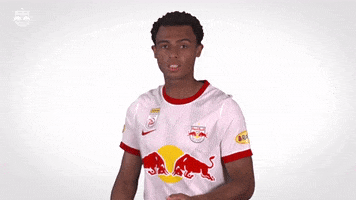 See Red Bull GIF by FC Red Bull Salzburg