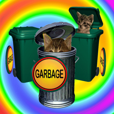 Cats Trash GIF