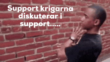 Support Krigarna Diskuterar I Support GIF