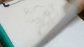 kierrabingham  GIF