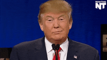 Donald Trump GIF by NowThis